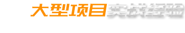 大型項目實戰經（jīng）驗